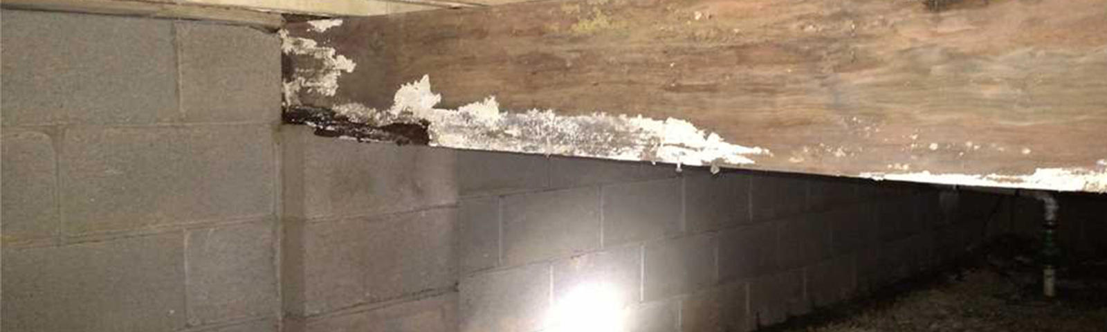 Mold and condensation on the beam in the crawlspace.