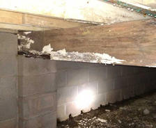 Mold and condensation on the beam in the crawlspace.