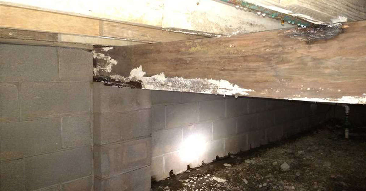 Mold and condensation on the beam in the crawlspace.