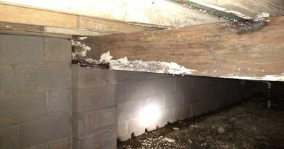 Mold and condensation on the beam in the crawlspace.