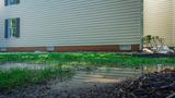 flooded yard near house