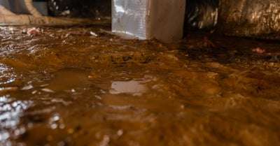 water on dirt crawl space floor