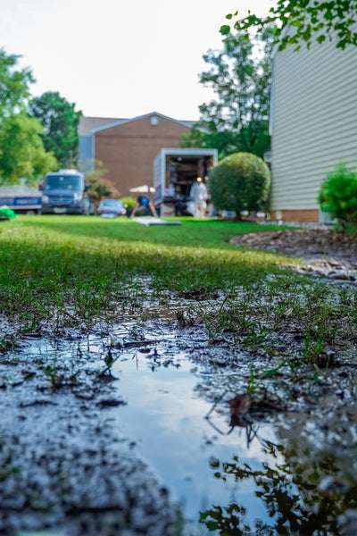 flooded yard in maryland
