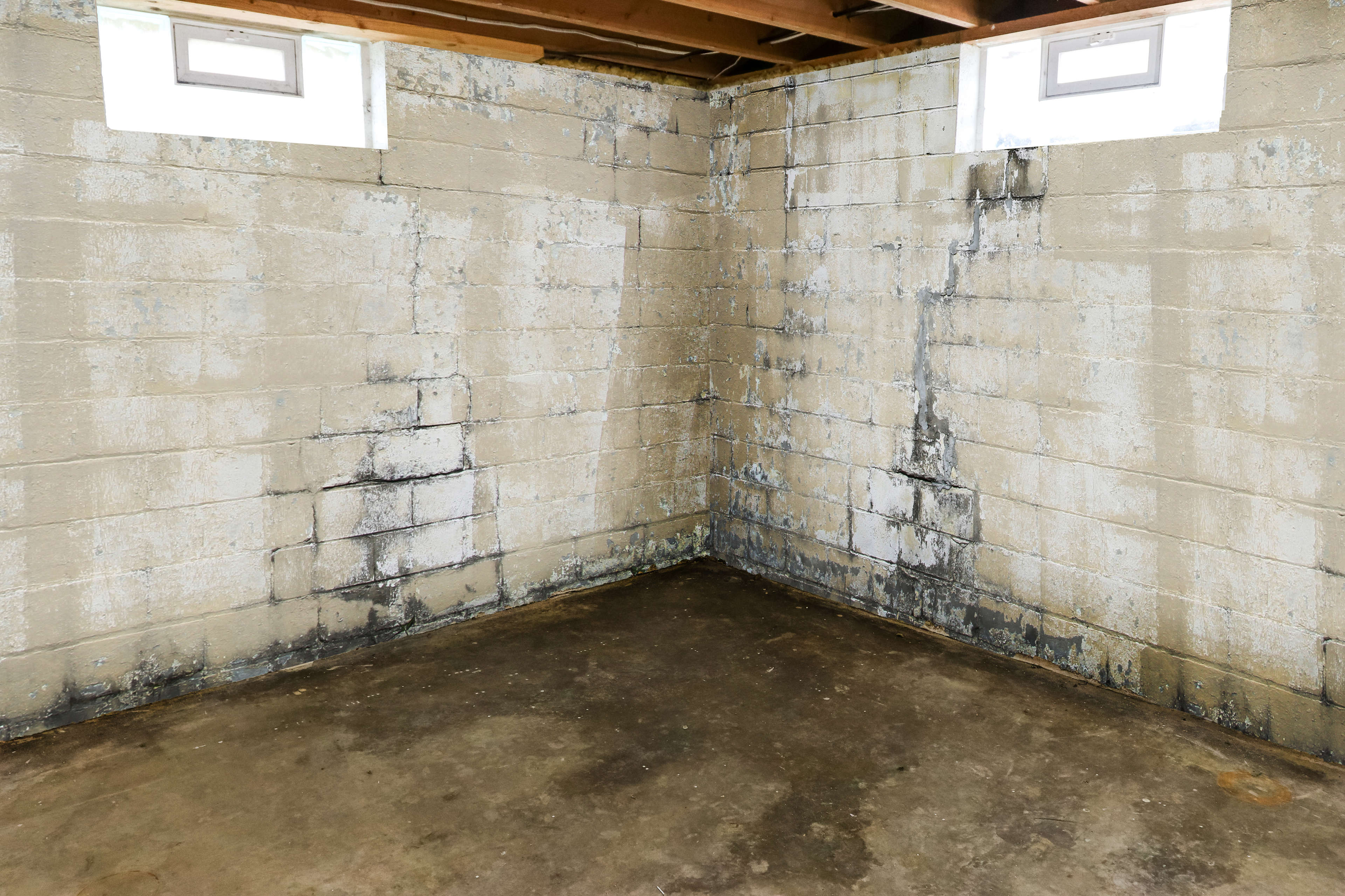 musty basement with wet floors