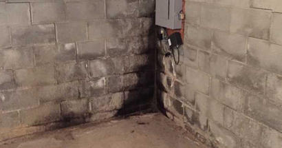 damp basement walls
