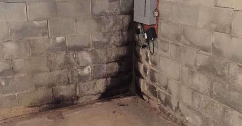 damp basement walls