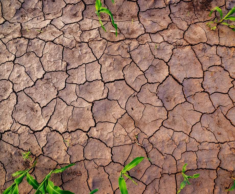 Drought striken cracked soil