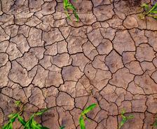 Drought striken cracked soil