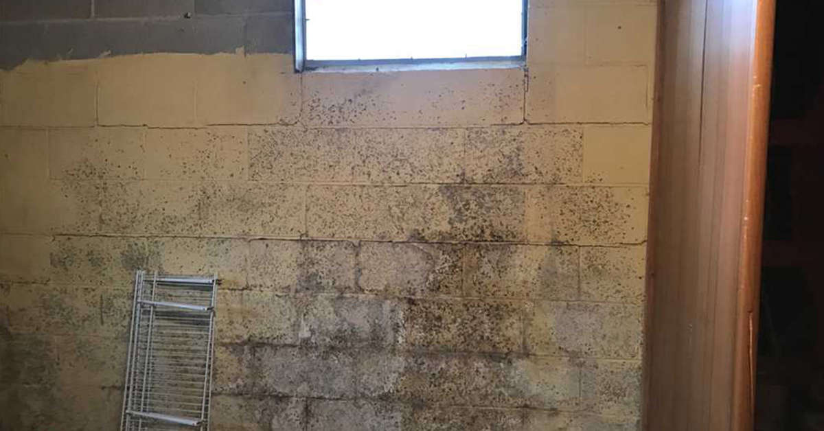 Interior moldy wall.