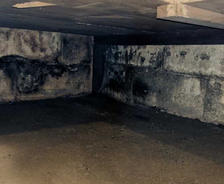 Mold on cinderblock in crawlspace.