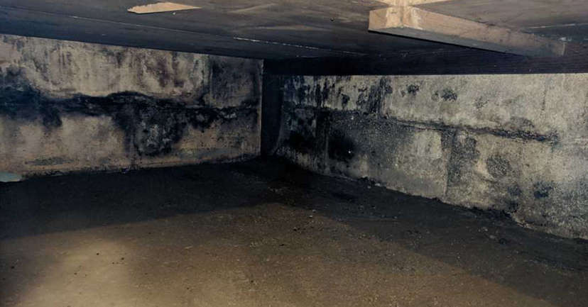 Mold on cinderblock in crawlspace.