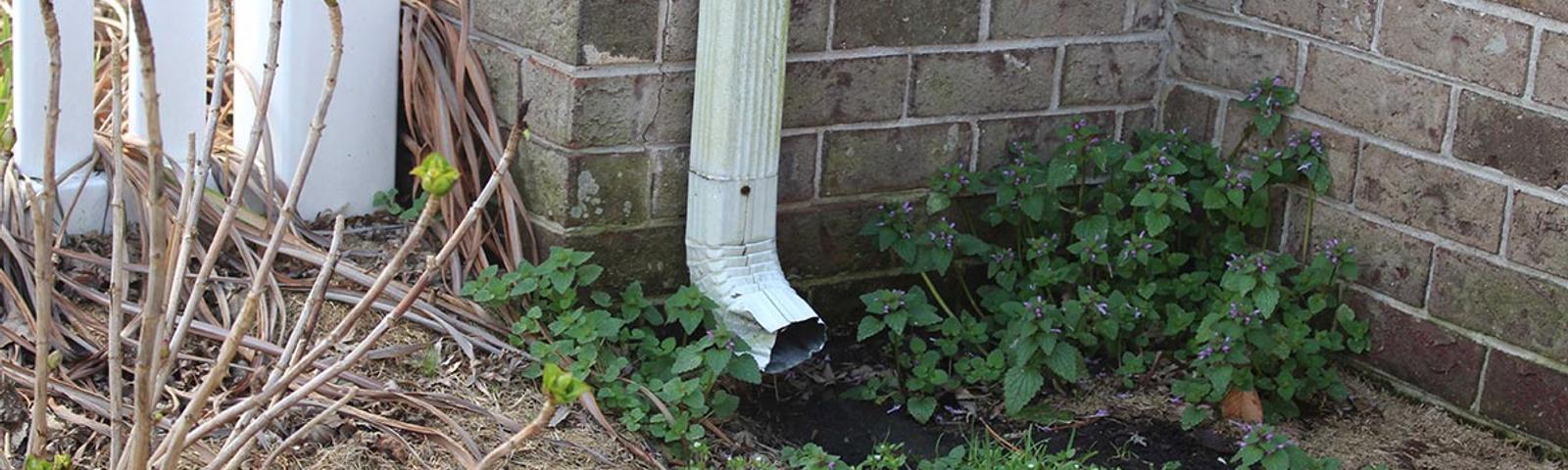 Exterior gutter and downspout.