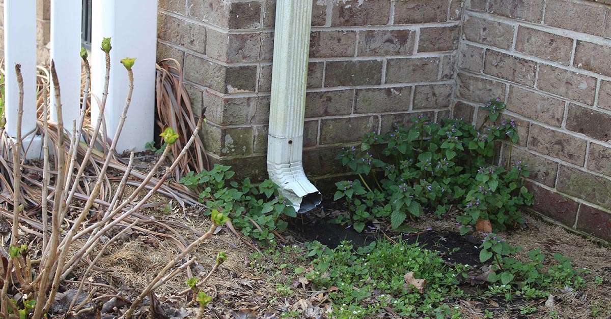 Exterior gutter and downspout.