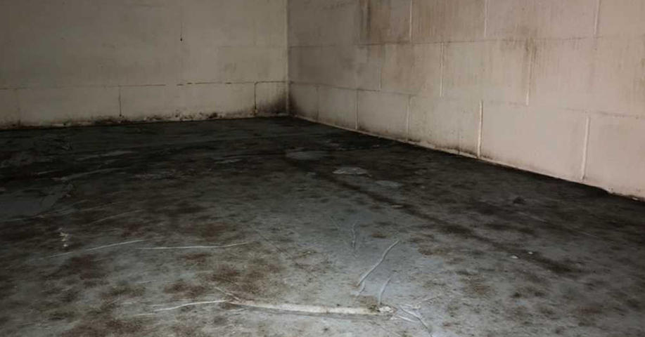 Mold on floor and cinderblock wall.