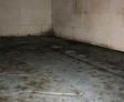Mold on floor and cinderblock wall.
