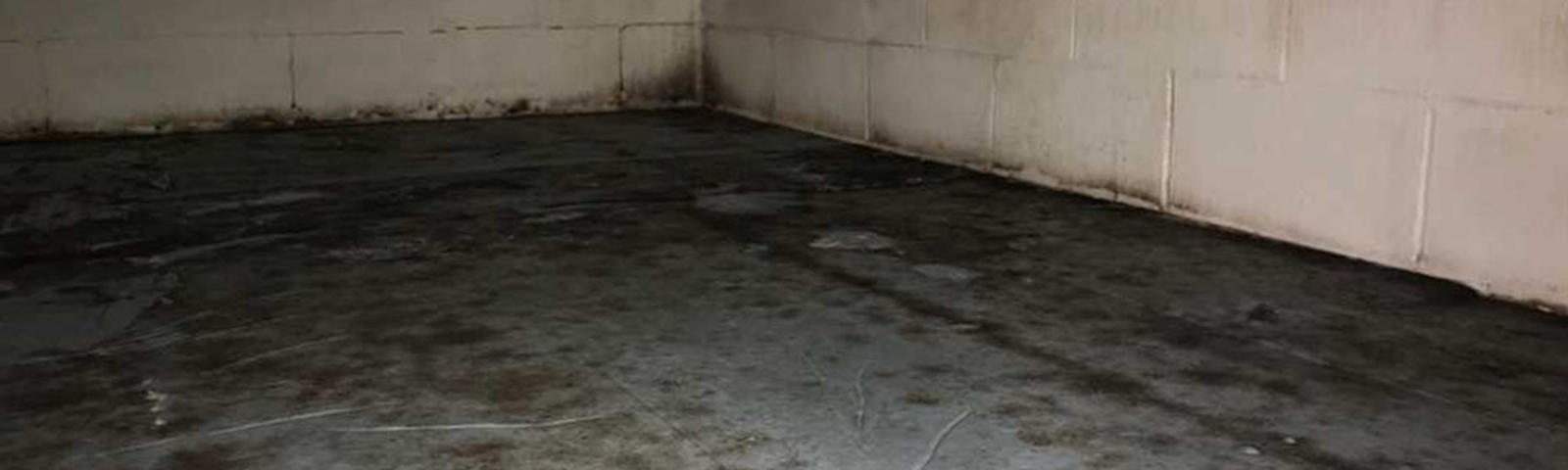 Mold on floor and cinderblock wall.