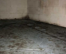 Mold on floor and cinderblock wall.