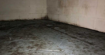 Mold on floor and cinderblock wall.