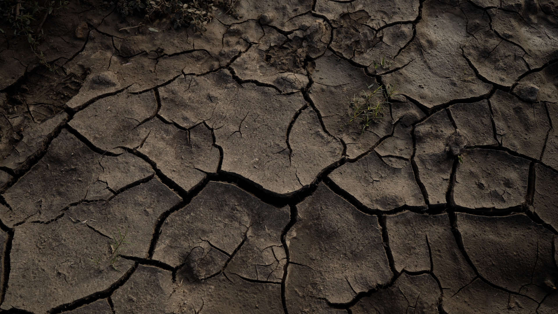 dry cracked soil caused by drought