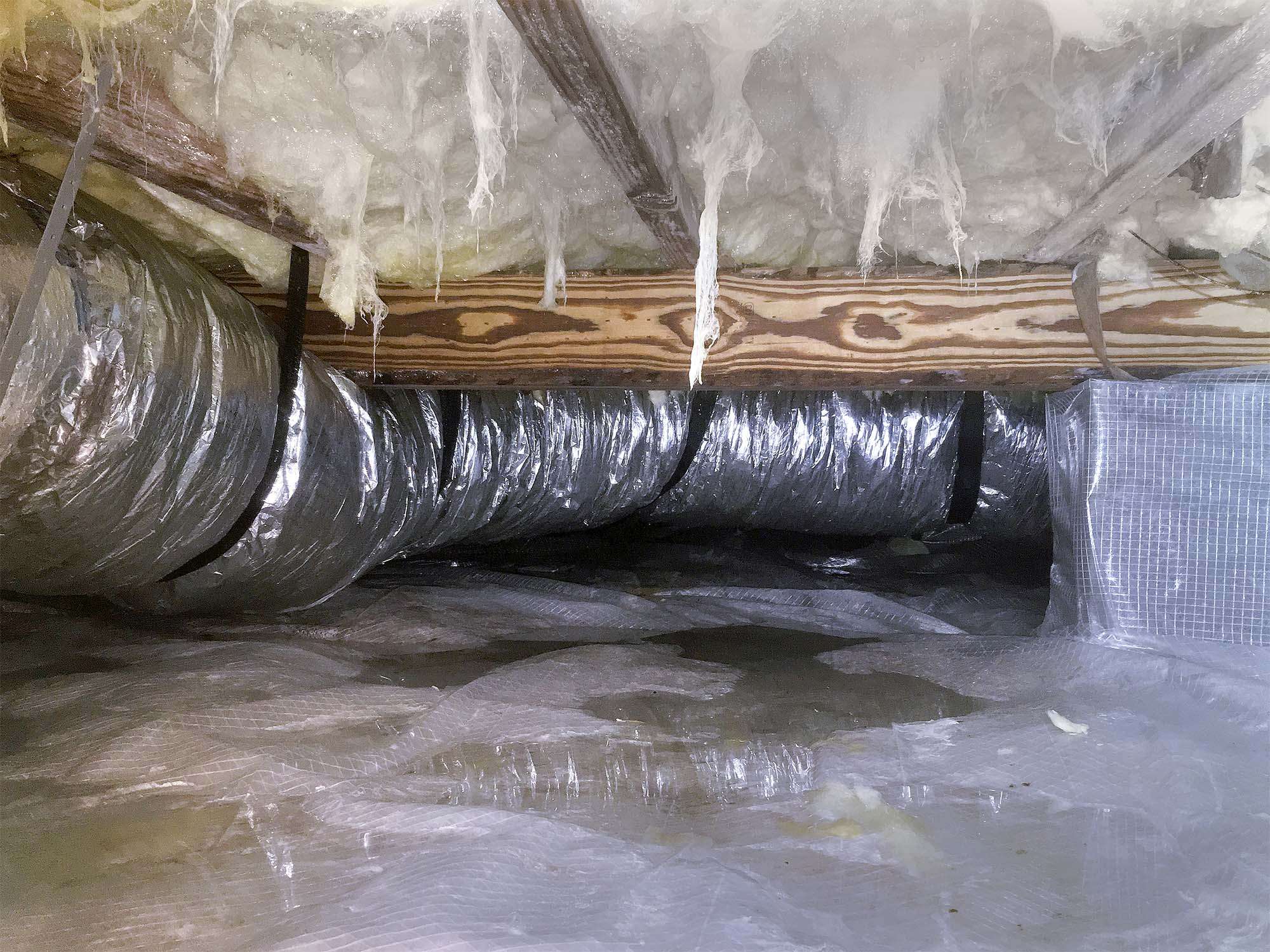 Compressed Condensation and wet insulation in crawlspace.