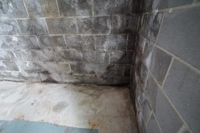 Efflorescence on the interior basement wall.
