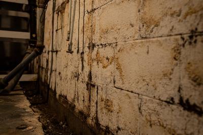 mold and water stains on a basement wall
