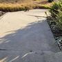 cracked sidewalk