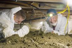 Mike helps the groundworks team clear out a basement