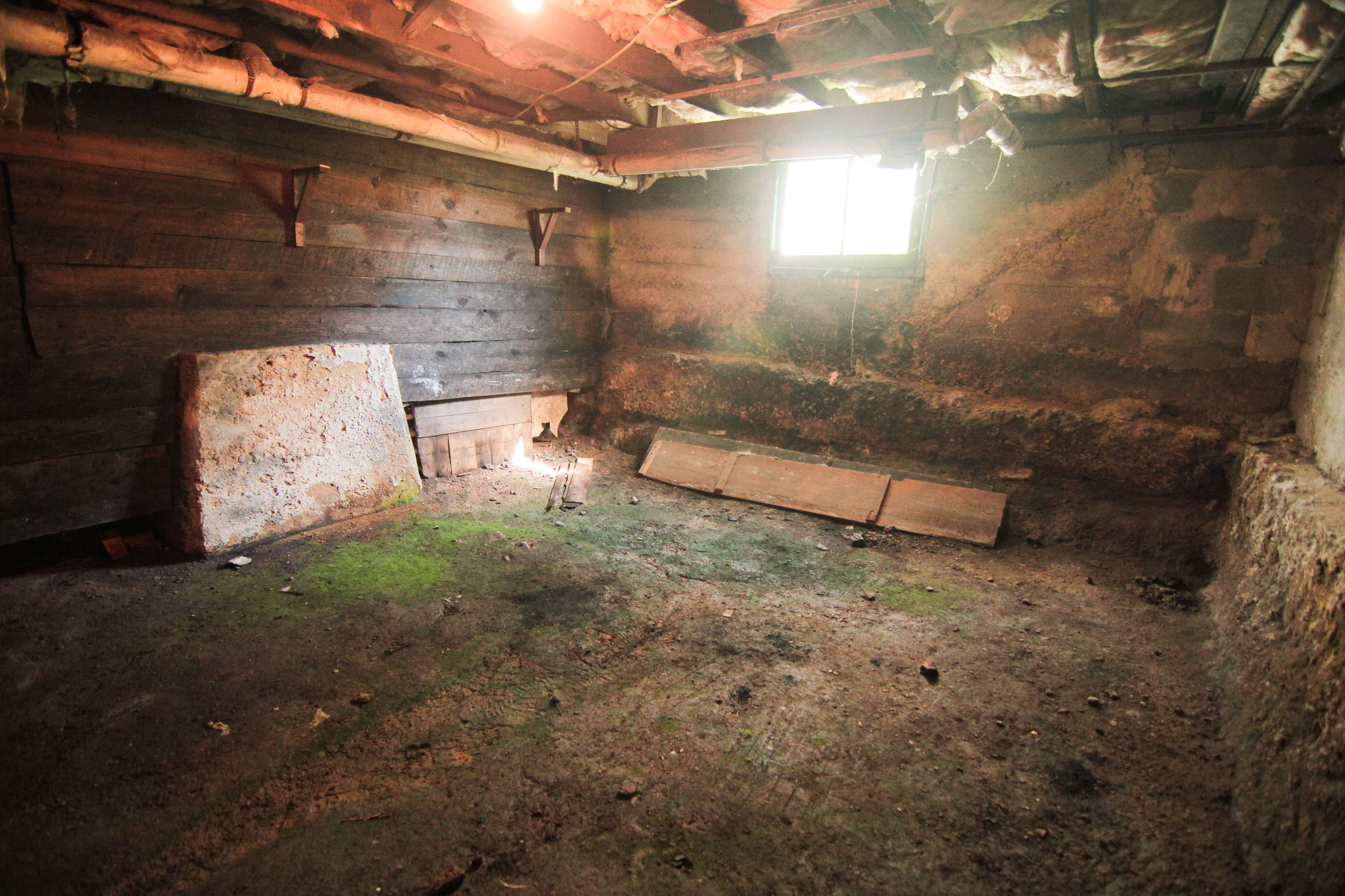 Musty basement.