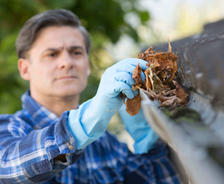 gutter cleaning