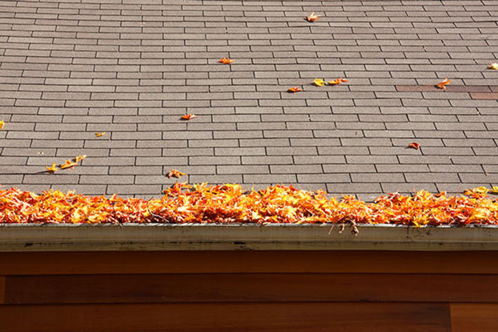 leaves in gutters
