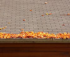 leaves in gutters