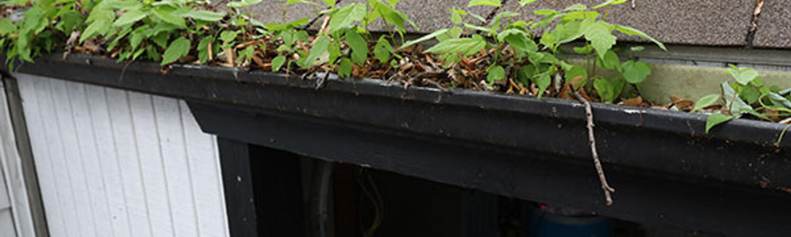 clogged gutters need replacing