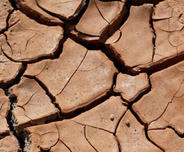Cracked and expansive soil