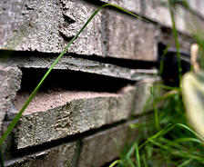 Close-up of a cracked brick wall surrounded by green grass.