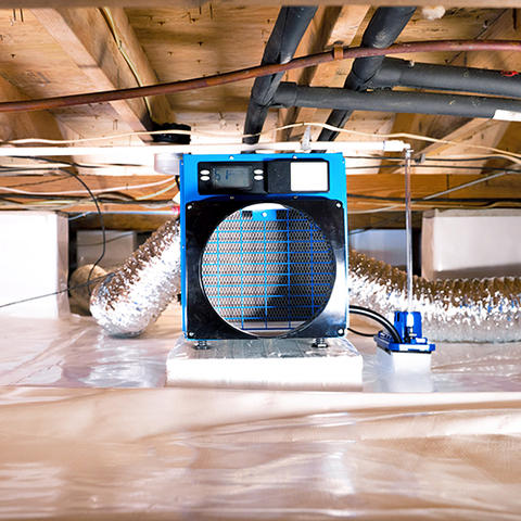 Dehumidifier in crawl space