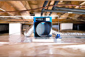 Dehumidifier in crawl space