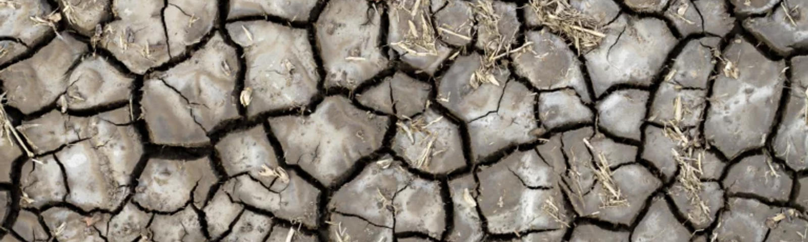 dry cracked soil