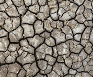 dry cracked soil