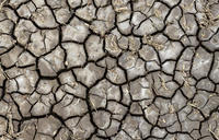 dry cracked soil