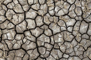 dry cracked soil