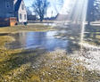A flooded backyard with sunlight streaming through trees, creating reflections on the waterlogged grass.