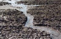 wet soil with water running through