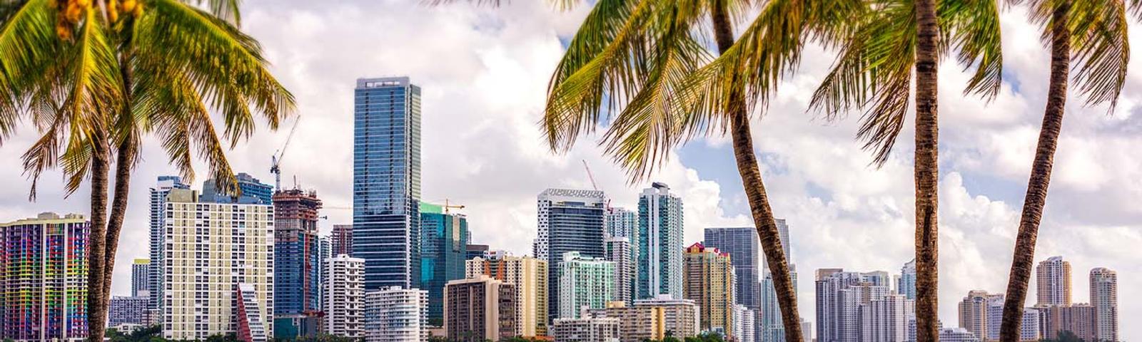 City skyline with tall buildings viewed through palm trees, set against a partly cloudy sky.
