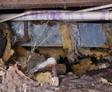 Under a house, damaged insulation and pipes are visible with exposed wiring and structural elements, hinting at the potential cause of the sagging floor above.