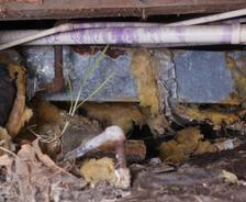 Under a house, damaged insulation and pipes are visible with exposed wiring and structural elements, hinting at the potential cause of the sagging floor above.