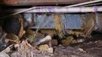 Messy crawl space