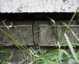 Close-up of a cracked brick wall with grass growing in front.