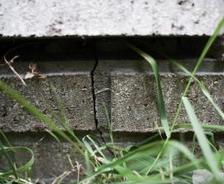 Compromised brick foundation.