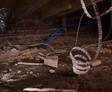 Debris and dirt in crawl space.